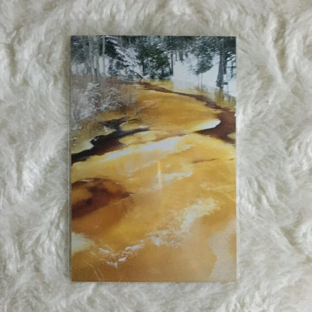 Set of 4 Original Canadian Winter Photographs Icy River Mossy Bark Nature Art - Picture 2 of 7